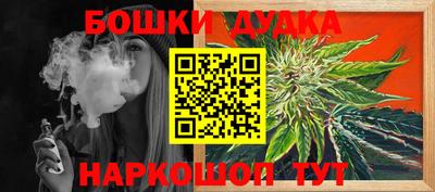 индика Заволжье