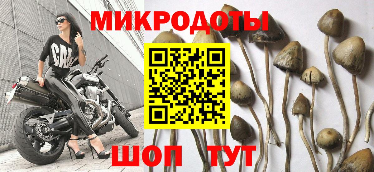 Бутурлиновка  Галлюциногенные грибы ЛСД  Вход с VPN  Галлюциногенные грибы Cubensis 